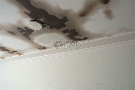 側傍 客廳天花板漏水